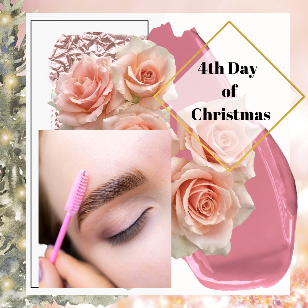 4th Day of Christmas Eyebrow Wax & Tint $30